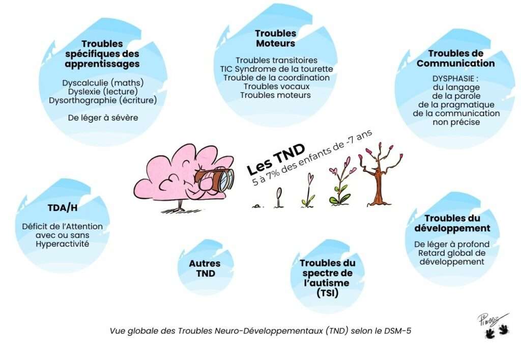 TDAH et trouble neuro développement enfant parcours parent